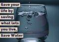 Quote on Save Water: Preserving Our Most Precious Resource