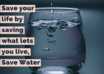 Quote on Save Water: Preserving Our Most Precious Resource