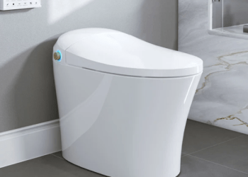 The Convenience of a Toilet with Built-In Bidet: Discover Horow T20