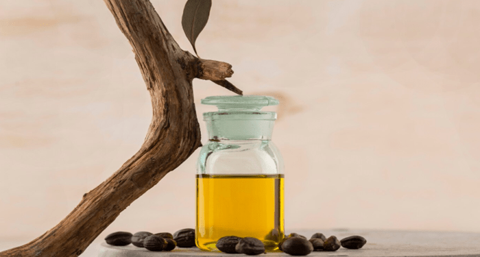 The Science Behind Jojoba Oil: Why It’s a Skincare Essential